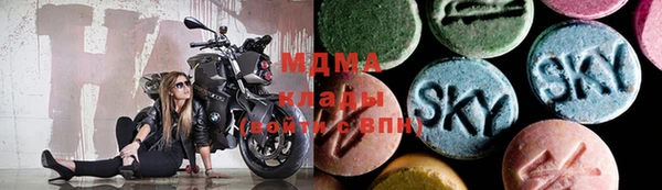 дмт Ельня