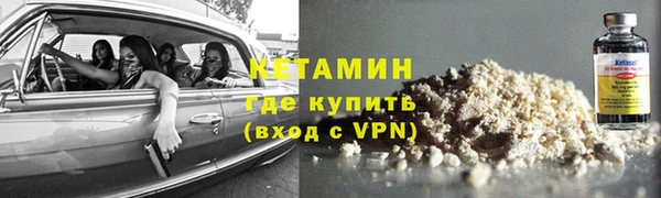 дмт Ельня