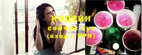 дмт Елизово