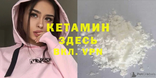 дмт Ельня