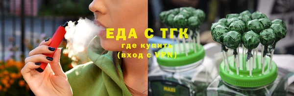 дмт Ельня