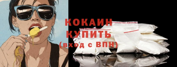 дмт Ельня