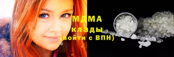 дмт Ельня