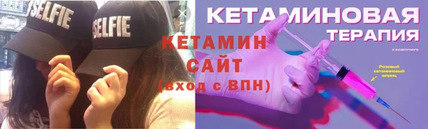 дмт Ельня