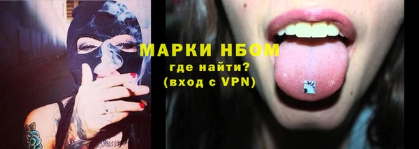 дмт Ельня