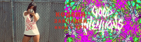 дмт Ельня