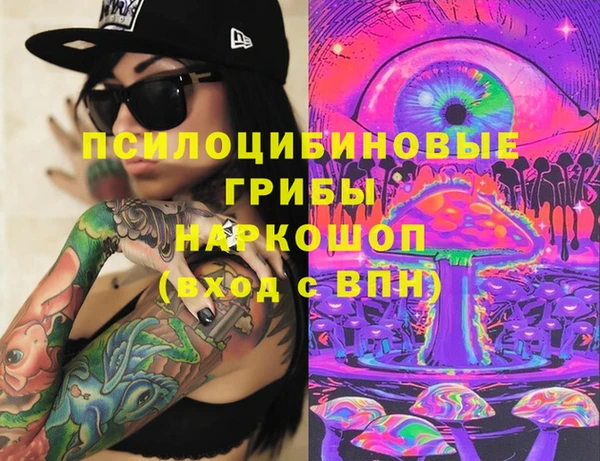 дмт Елизово