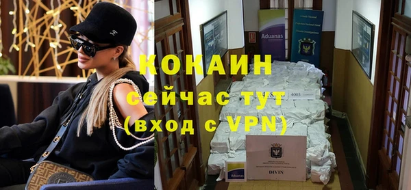 дмт Ельня