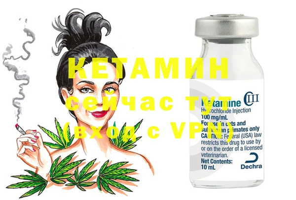 дмт Ельня