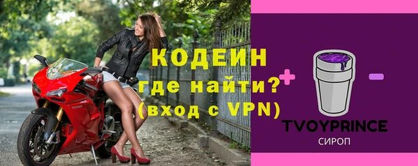 дмт Елизово