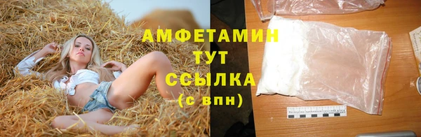 дмт Ельня