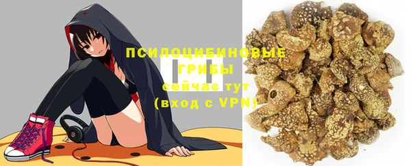 дмт Елизово